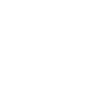 WhatsApp icon for direct contact